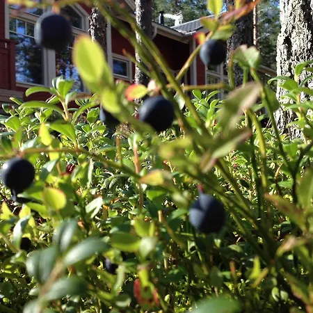 Otsopirtti: Maria And Otso Apartman Kolinkylä