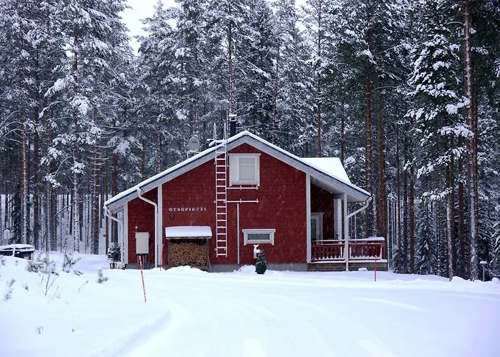 Otsopirtti: Maria And Otso Appartement Kolinkylä