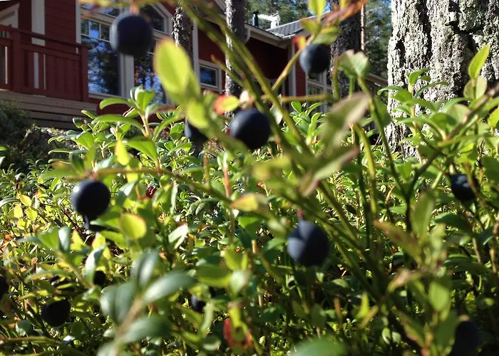 Otsopirtti: Maria And Otso Appartement Kolinkylä