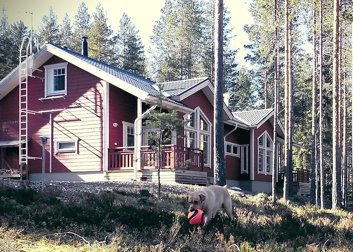 Otsopirtti: Maria And Otso Appartement