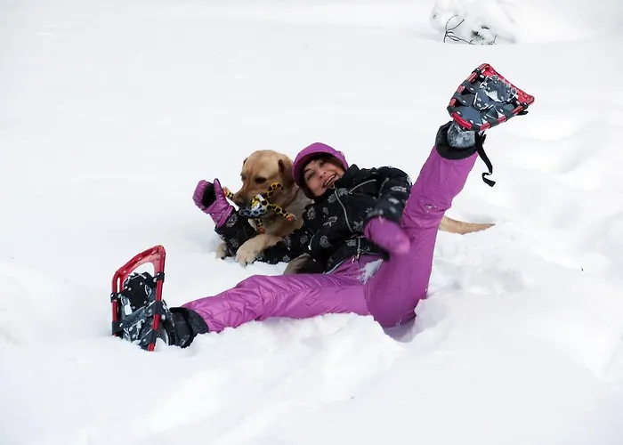 Appartement Otsopirtti: Maria And Otso Kolinkylä